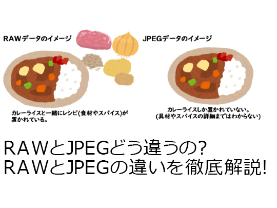 初心者向け Rawとjpegどう違うの Rawとjpegの違いをわかりやすく解説します Luzz Studio